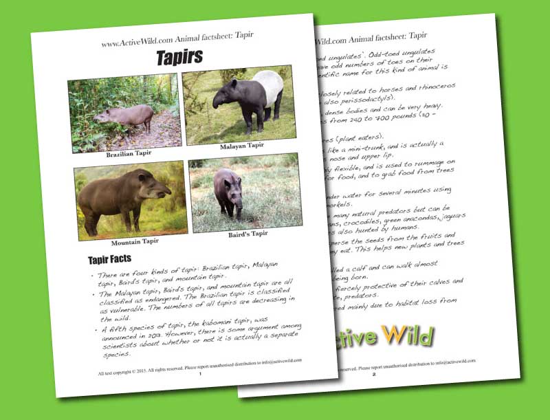 Printable Tapir Factsheet