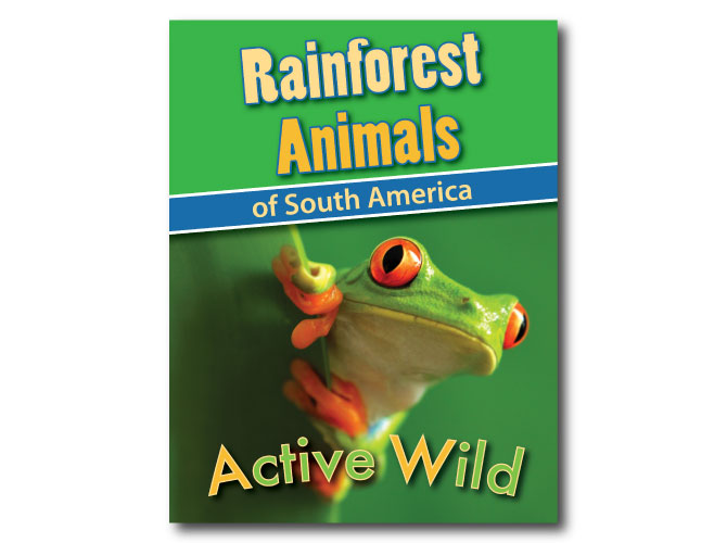 Rainforest Animals Printable Facts Pack