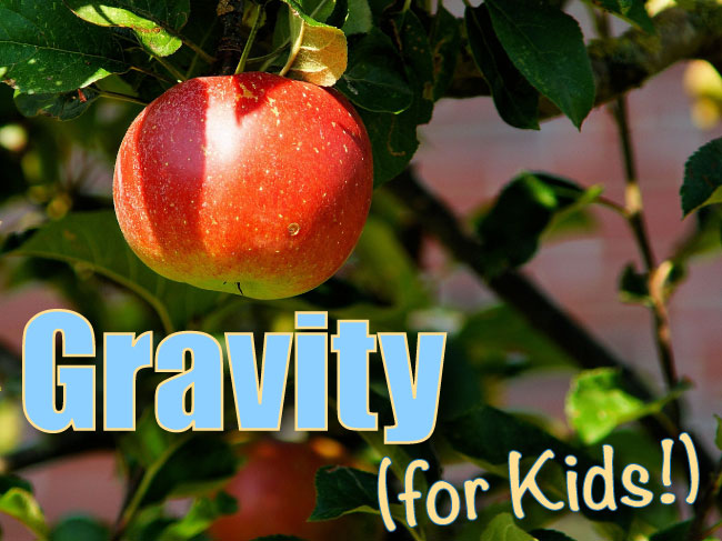 Gravity For Kids Fun Clear Explanation With Pictures Video