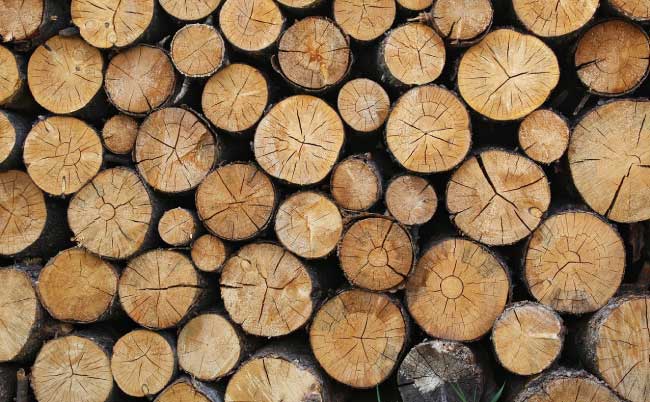 Deforestation timber production