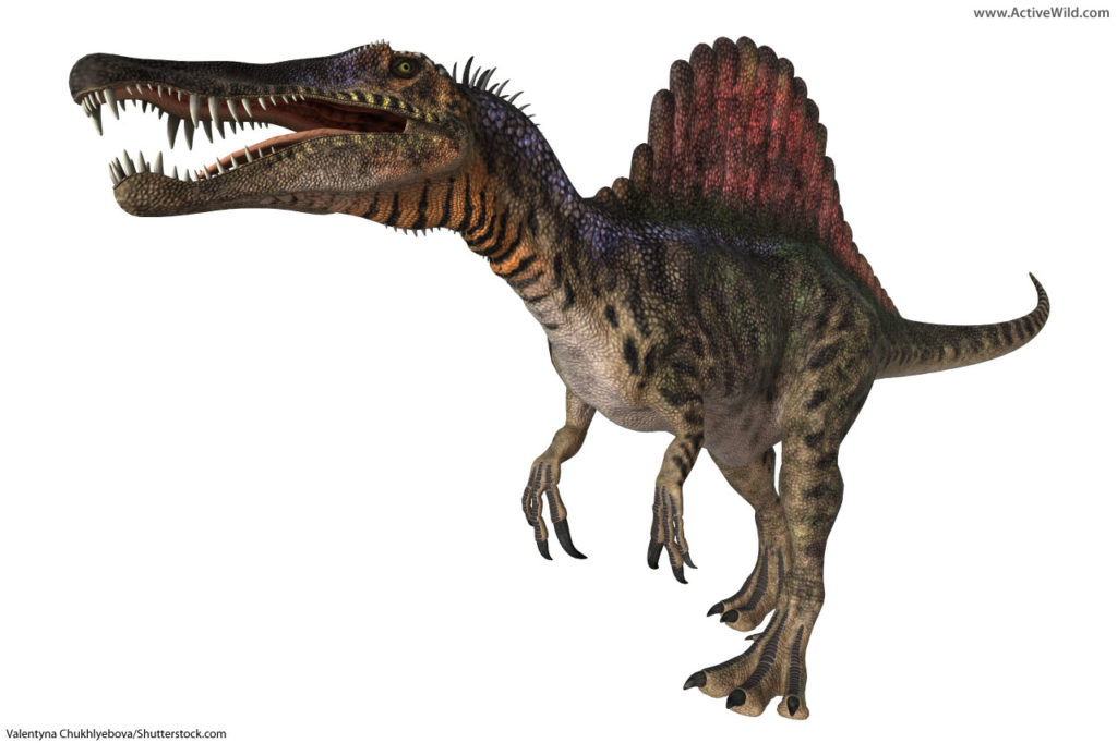 spinosaurus dinosaur