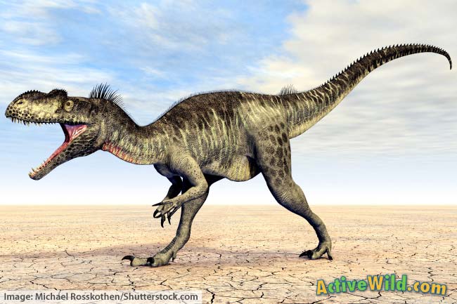 Megalosaurus Facts for Kids
