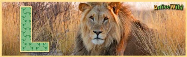 A to Z Animals List For Kids With Pictures & Facts. Animal a-z Information