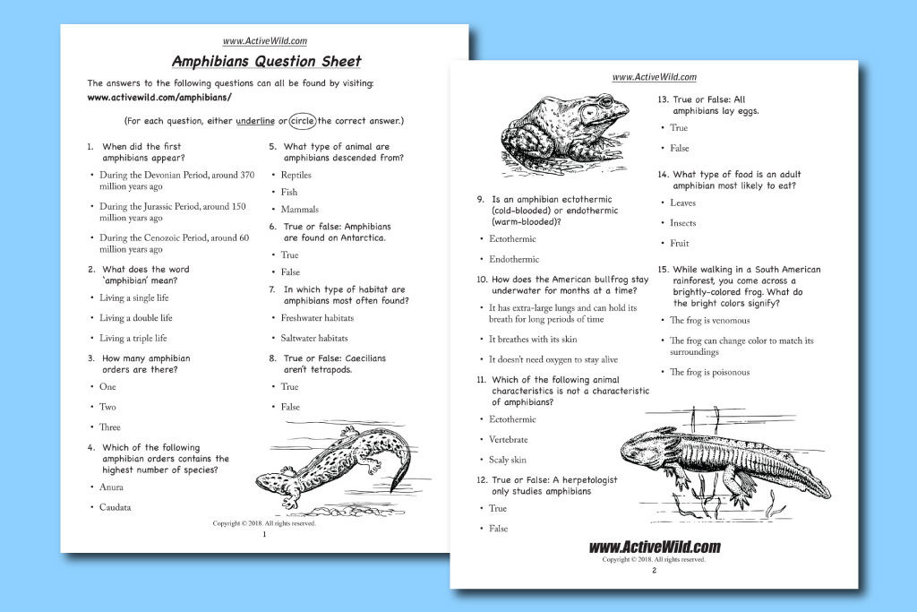 Free Printable Worksheets For Teachers Parents Wildlife And Science