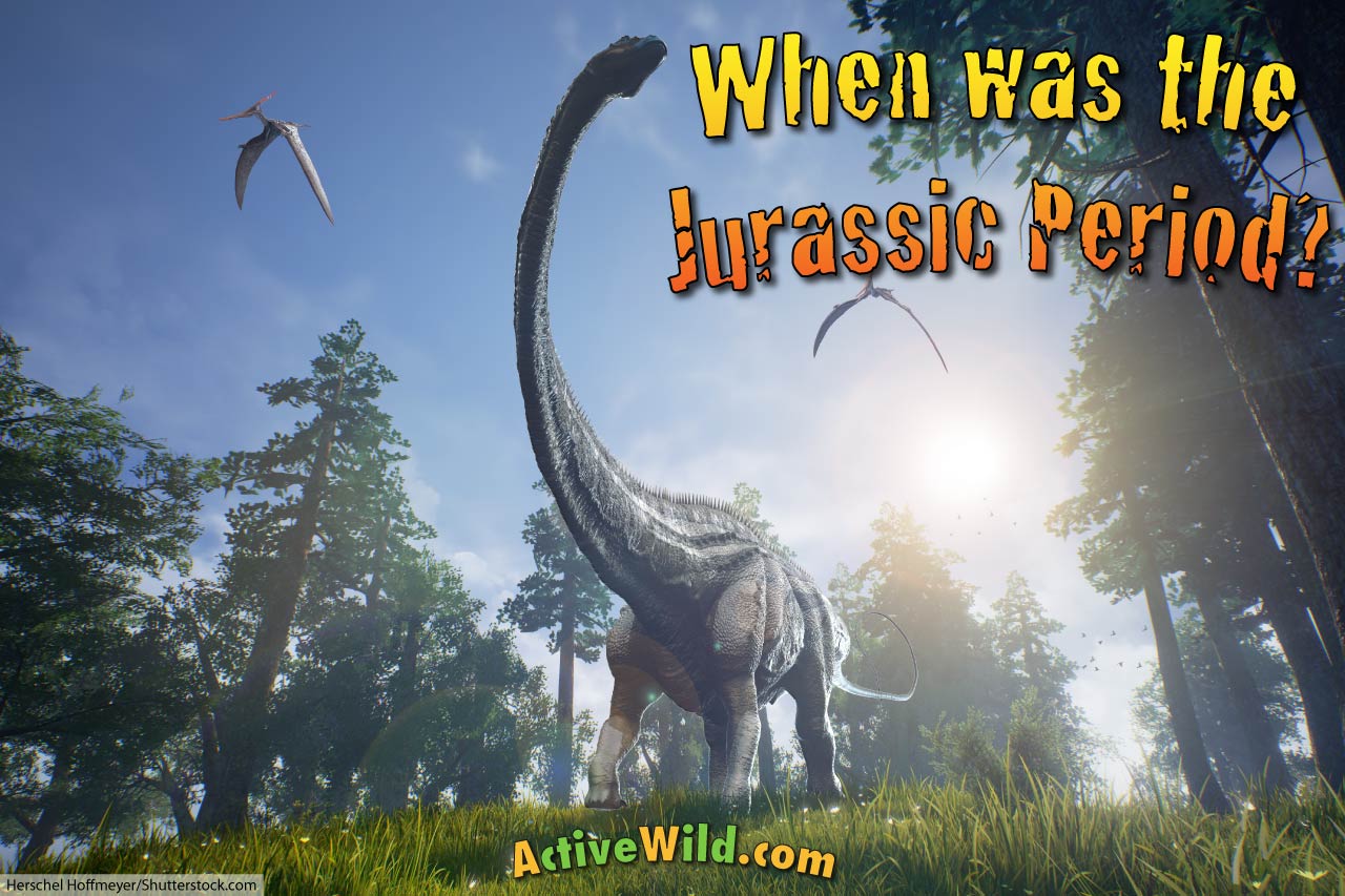 When Was The Jurassic Period Your Jurassic Questions Answered 