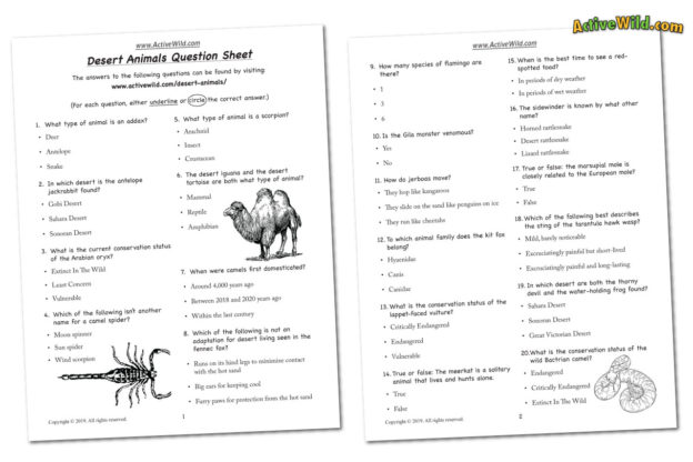 Desert Animals List With Pictures & Amazing Facts