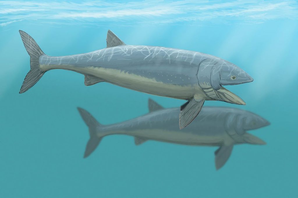 Leedsichthys - largest fish that ever lived