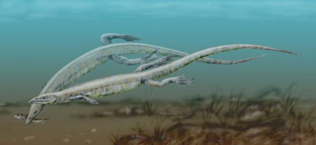 Jurassic Animals – A List Of Animals That Lived In The Jurassic Period