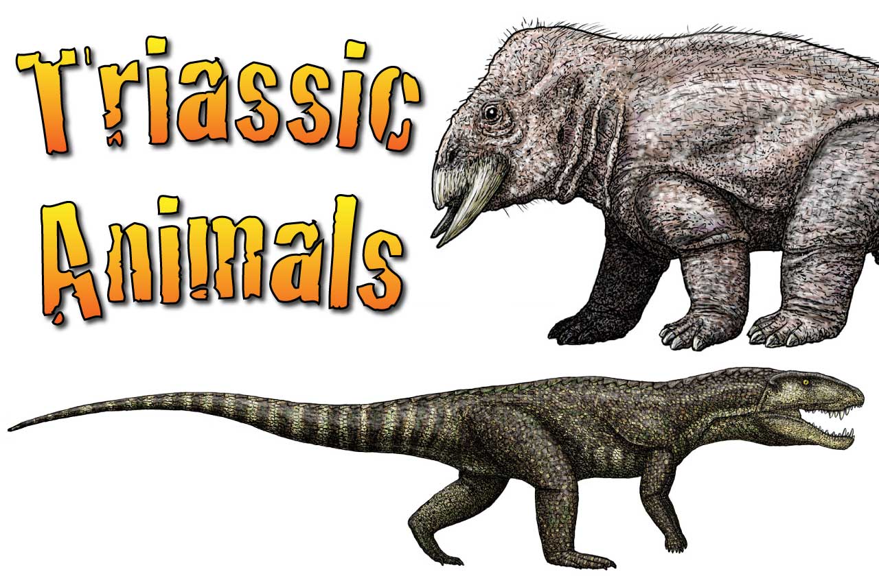 Triassic Animals – Discover The Animals That Lived In The Triassic Period