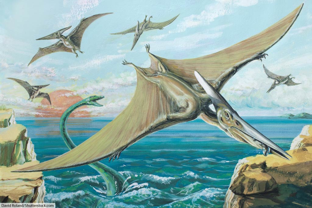 Cretaceous Period Animals That Weren't Dinosaurs: List, Pictures & Facts