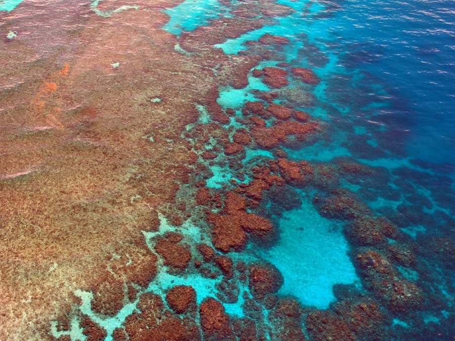 great barrier reef from the air