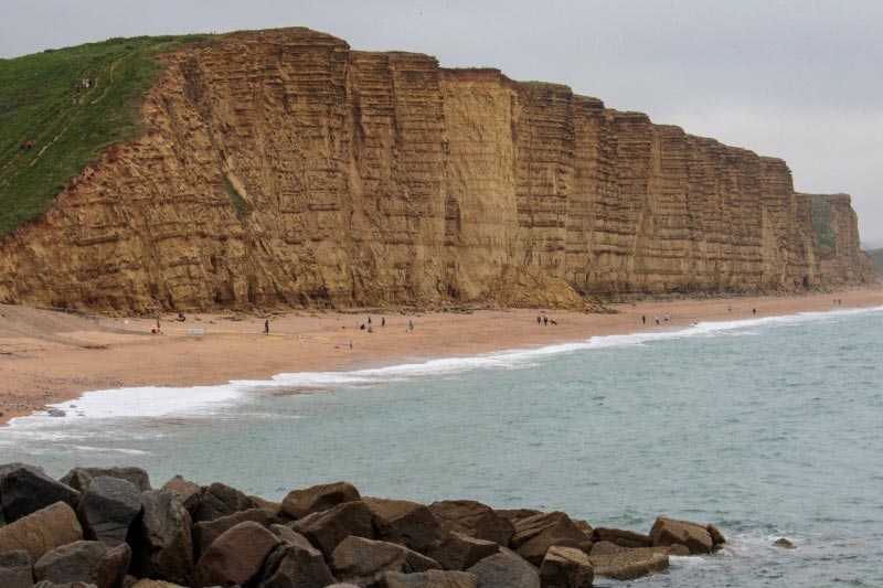 Fossil-bearing rocks at the Jurassic Coast in Dorset, UK