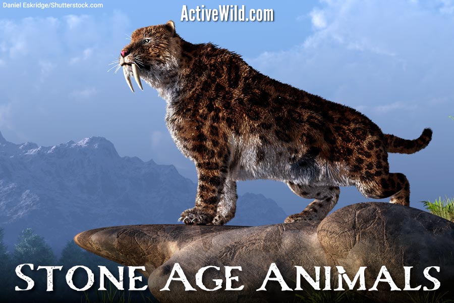 Animals Of The Stone Age List With Pictures & Facts