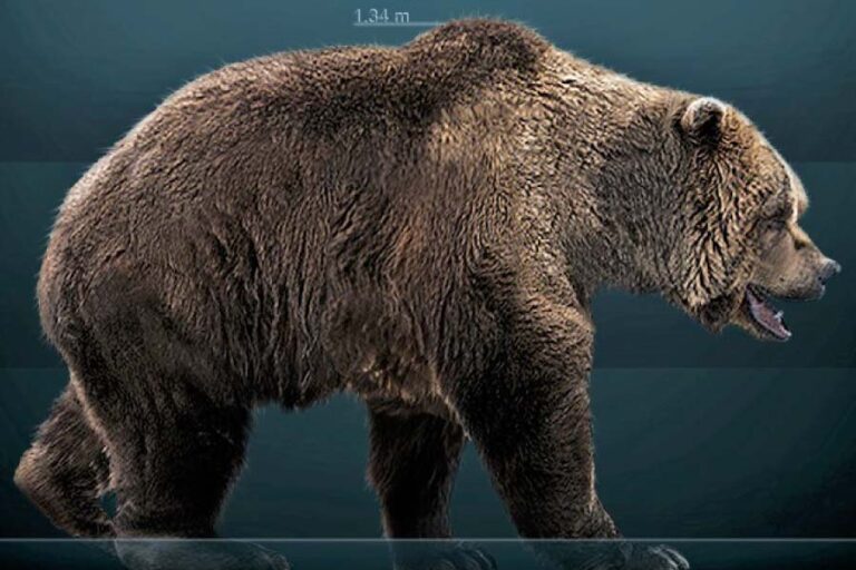 Animals Of The Stone Age List With Pictures Facts Animals Of The Stone Age List With Pictures Facts