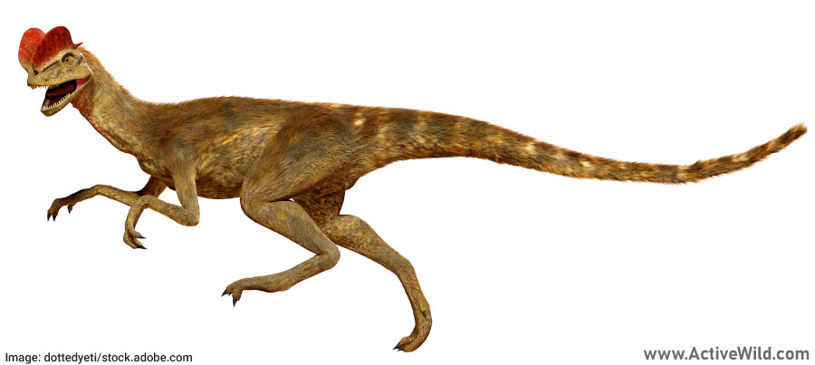 Dilophosaurus running
