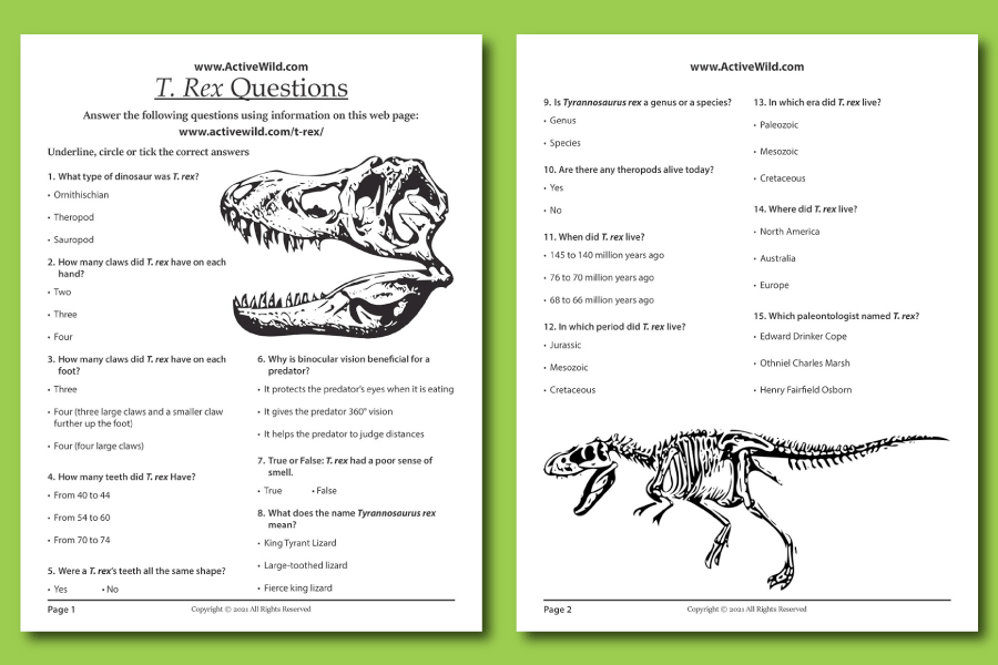 Free Printables Dinosaur Worksheets Free Printable Dinosaur 