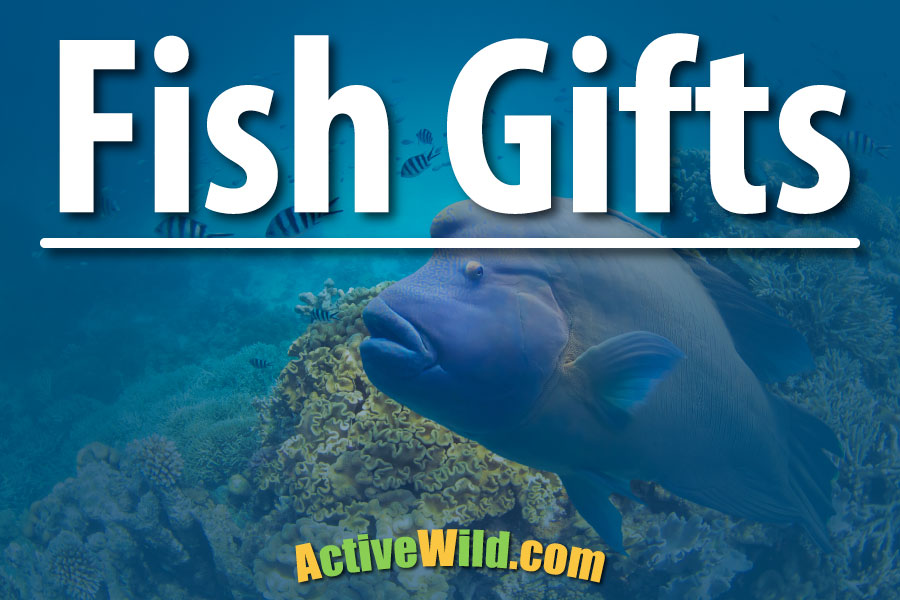 Fish Gifts