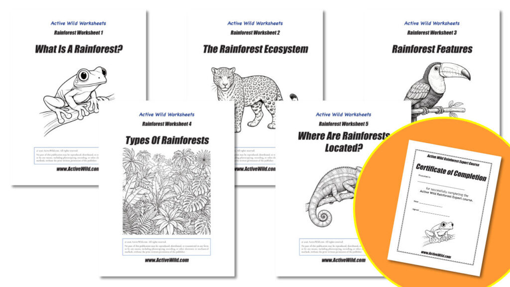 Rainforest Worksheets plus Certificate
