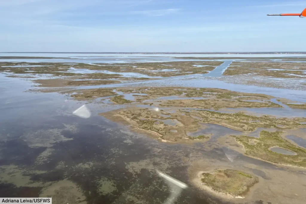 Texas Gulf Coast